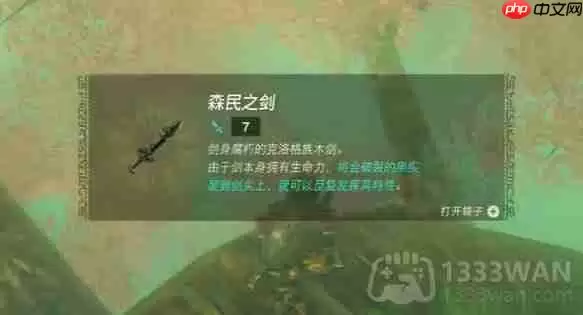 塞尔达传说纳末敏的寻宝游戏任务怎么做-纳末敏的寻宝游戏任务攻略