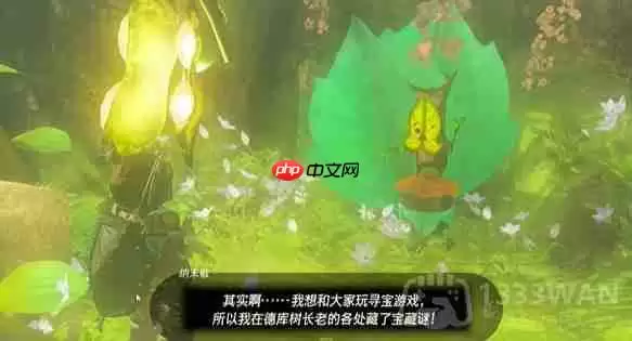 塞尔达传说纳末敏的寻宝游戏任务怎么做-纳末敏的寻宝游戏任务攻略