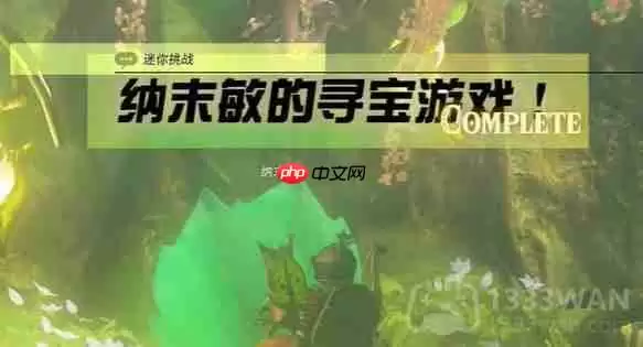 塞尔达传说纳末敏的寻宝游戏任务怎么做-纳末敏的寻宝游戏任务攻略