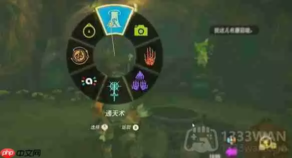 塞尔达传说纳末敏的寻宝游戏任务怎么做-纳末敏的寻宝游戏任务攻略