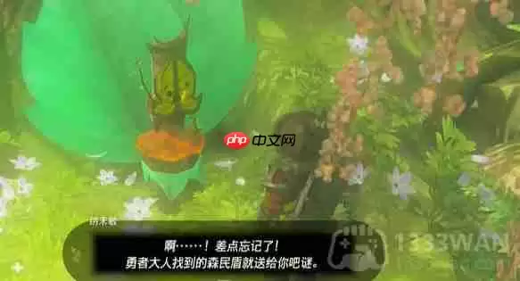 塞尔达传说纳末敏的寻宝游戏任务怎么做-纳末敏的寻宝游戏任务攻略