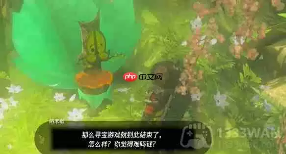 塞尔达传说纳末敏的寻宝游戏任务怎么做-纳末敏的寻宝游戏任务攻略