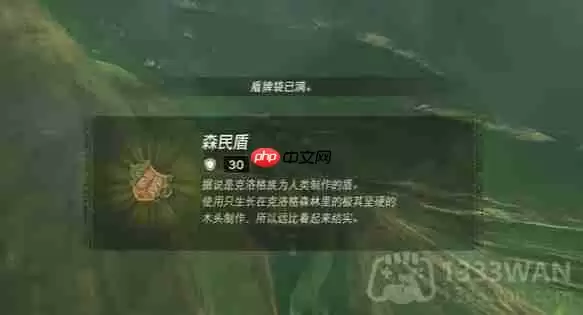 塞尔达传说纳末敏的寻宝游戏任务怎么做-纳末敏的寻宝游戏任务攻略