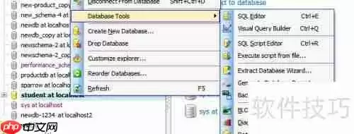 用Maestro生成HTML格式的数据库报告