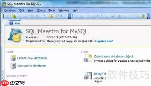 用Maestro生成HTML格式的数据库报告