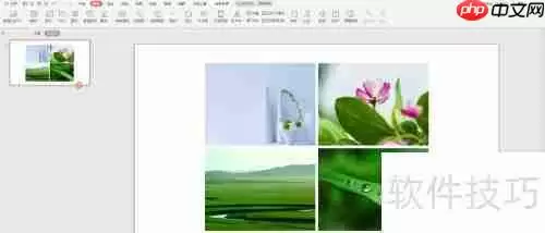 PPT中快速排版多张图片的方法教程