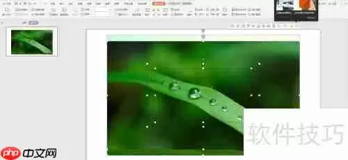 PPT中快速排版多张图片的方法教程