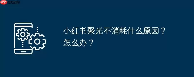 小红书聚光不消耗什么原因？怎么办？