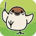 鸟鸣小镇
