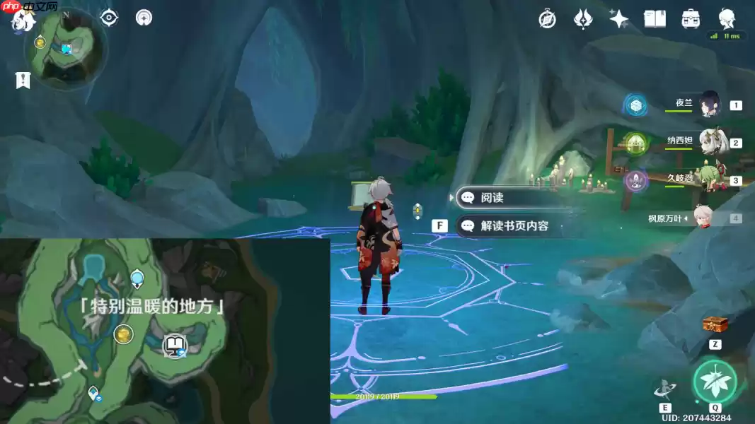 原神秘诲揭示之书终极指南：神秘书页收集路线详解