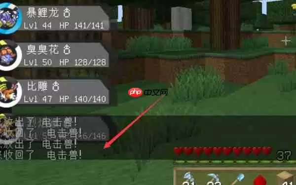 我的世界神奇宝贝雷泣珠闪电充能全攻略