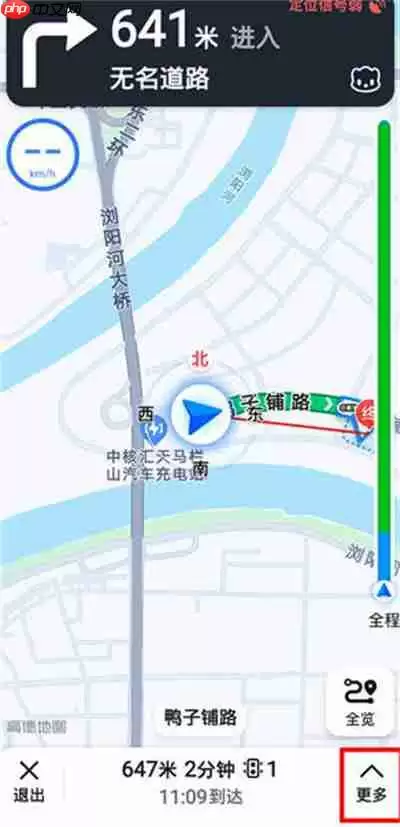 高德地图怎么开启投影