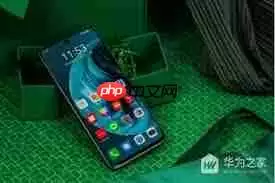 华为畅享70有没有nfc功能