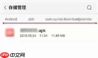 迅雷下载的电影在手机哪个文件夹里