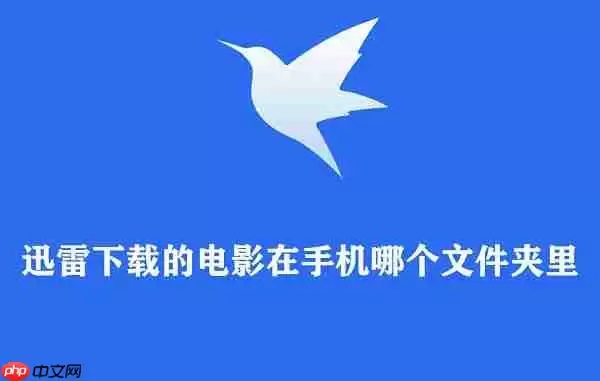 迅雷下载的电影在手机哪个文件夹里
