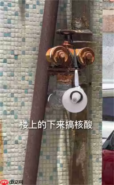 抖音叮咚鸡叮咚鸡是什么梗