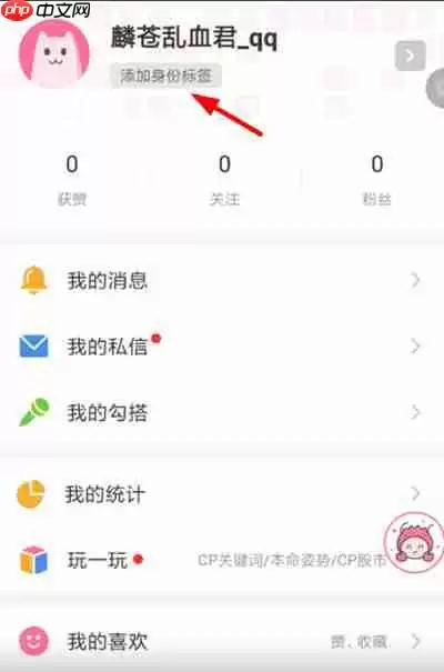 半次元怎么添加身份标签