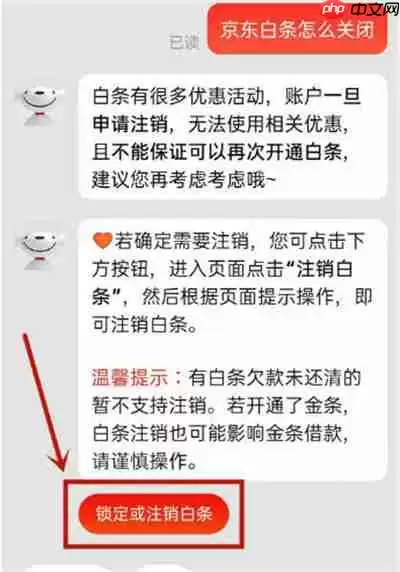 京东怎么注销关闭白条