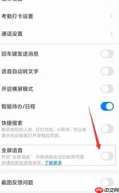 钉钉怎么开启全屏语音的功能