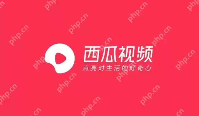 西瓜视频免费网址 西瓜视频网站免费播放2025 - 游乐网