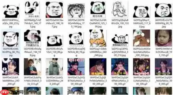 钉钉表情包怎么导出