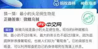 支付宝神奇海洋7.25日答案