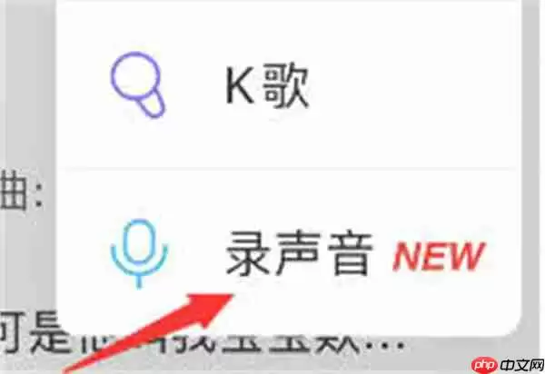 网易云音乐动态怎么发语音