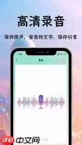 录音专家如何翻译语音