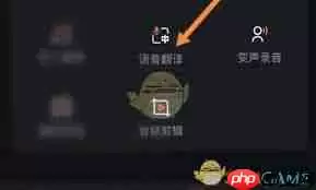 录音专家如何翻译语音