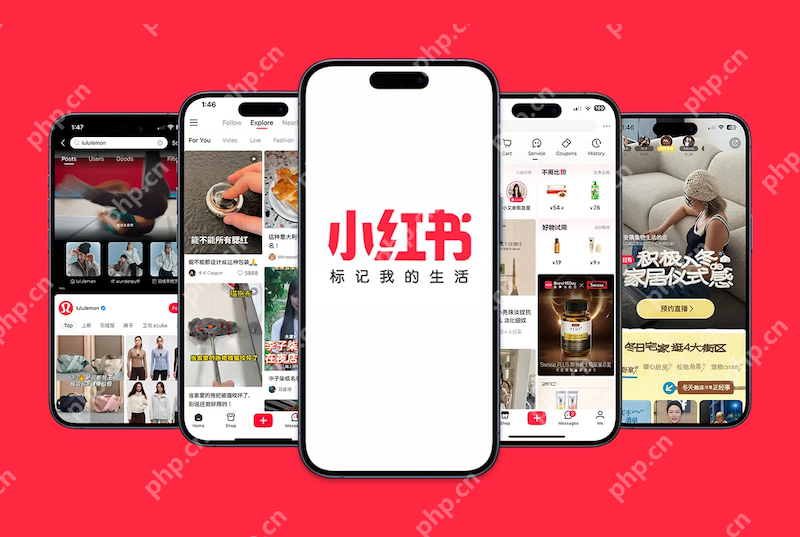 小红书直播回放无法下载 如何处理权限问题？ - 游乐网