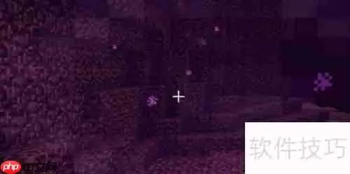 下界之星获取方法