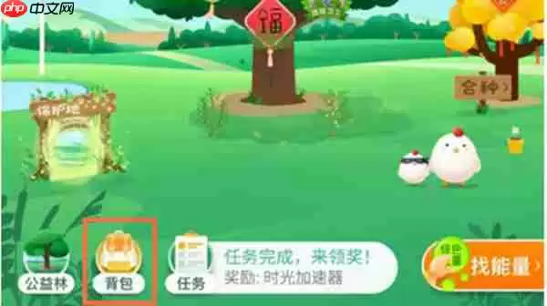 支付宝的蚂蚁森林能量怎么不被别人收取