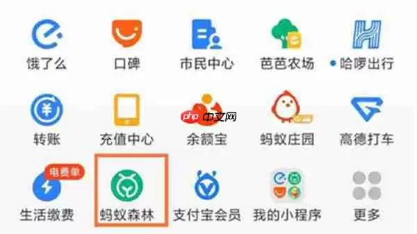 支付宝的蚂蚁森林能量怎么不被别人收取