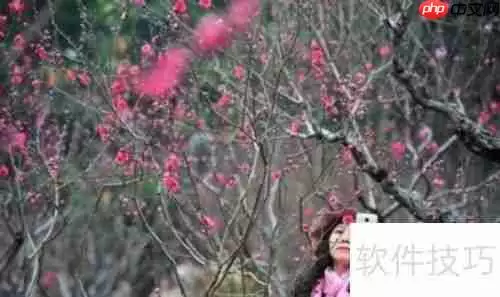 白云山旅游区:一份详尽的旅行指南