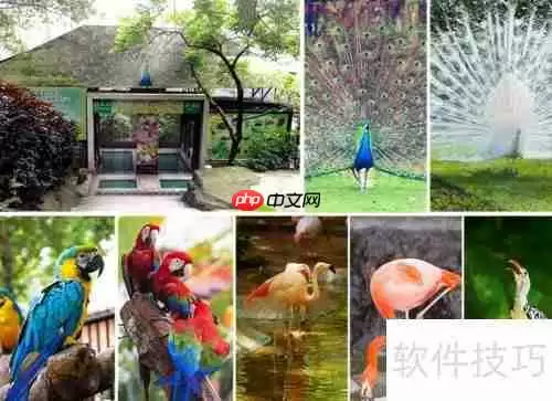 白云山旅游区:一份详尽的旅行指南