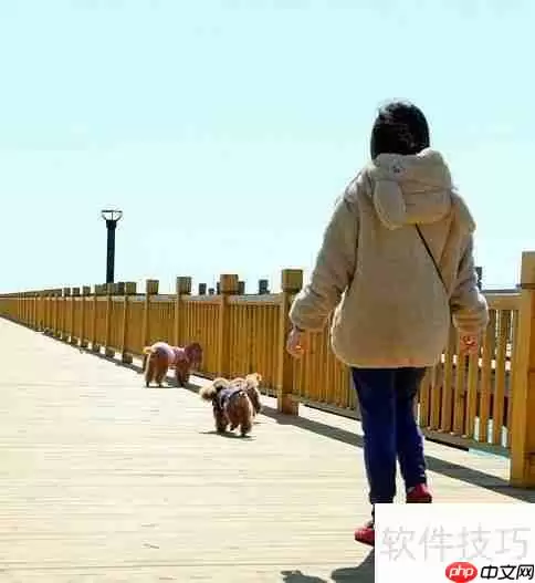 报名旅行社出行旅游注意事项