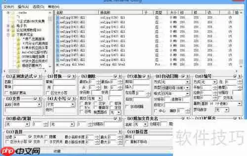 学会这招,轻松实现文件批量重命名!