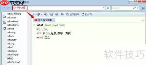 灵格斯使用指南:快速上手与功能介绍
