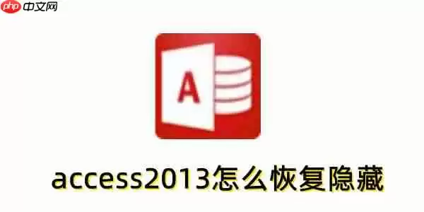 access2013怎么恢复隐藏?access2013恢复隐藏的方法