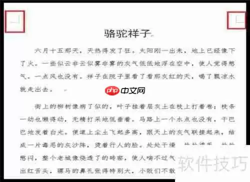 Word文档页面排版技巧