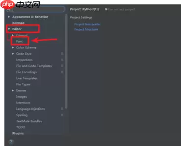PyCharm怎么更改中文字体？-PyCharm更改中文字体教程攻略