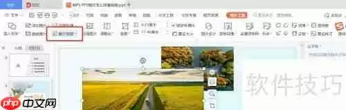 WPS PPT图片快速排版技巧
