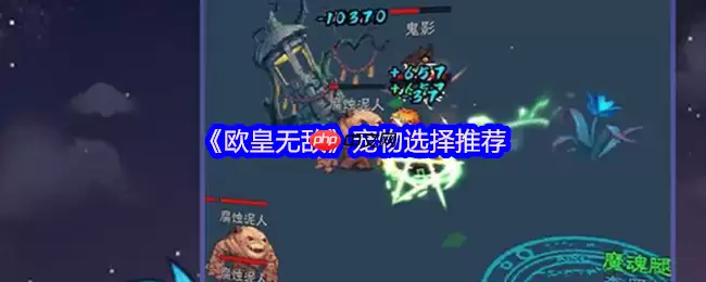 音贝才是王道  欧皇无敌宠物选择终极避坑指南