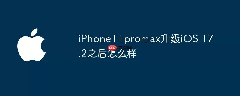 iphone11promax升级ios 17.2之后怎么样