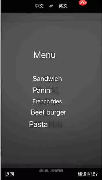 老外来中国旅游*爱的APP 必然是搜狗手机浏览器