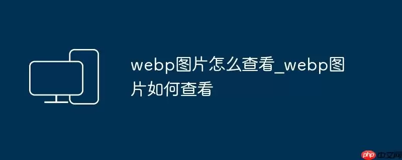 webp图片怎么查看_webp图片如何查看