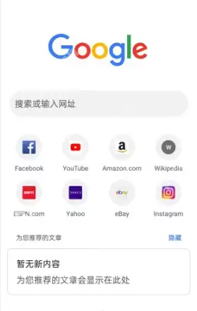 谷歌浏览器在线 谷歌浏览器网页版在线 谷歌浏览器官网在线 - 游乐网