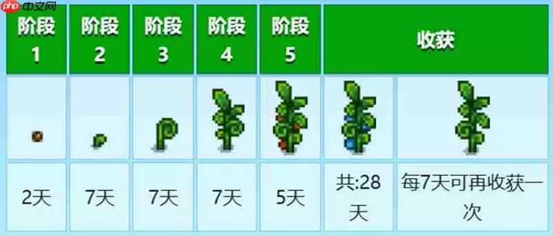 星露谷物语古代种子怎么获得 古代种子获取方法详解