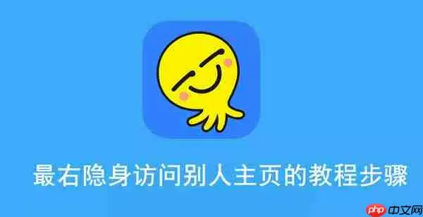 最右隐身访问别人主页的教程