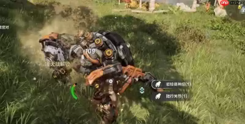 荒野起源大锤有什么技能 大锤作战技巧全解析